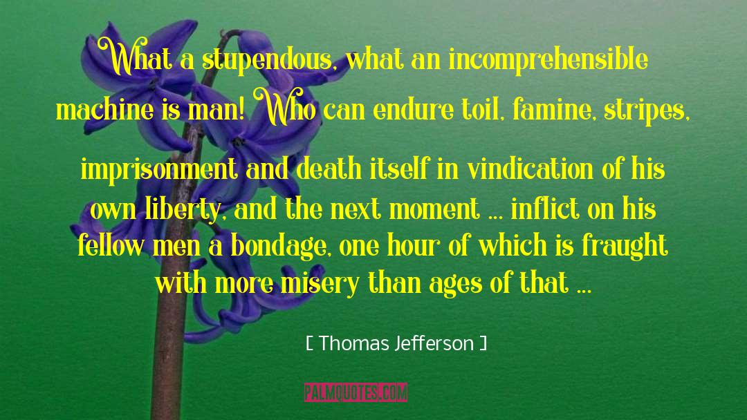 Thomas Jefferson Quotes: What a stupendous, what an