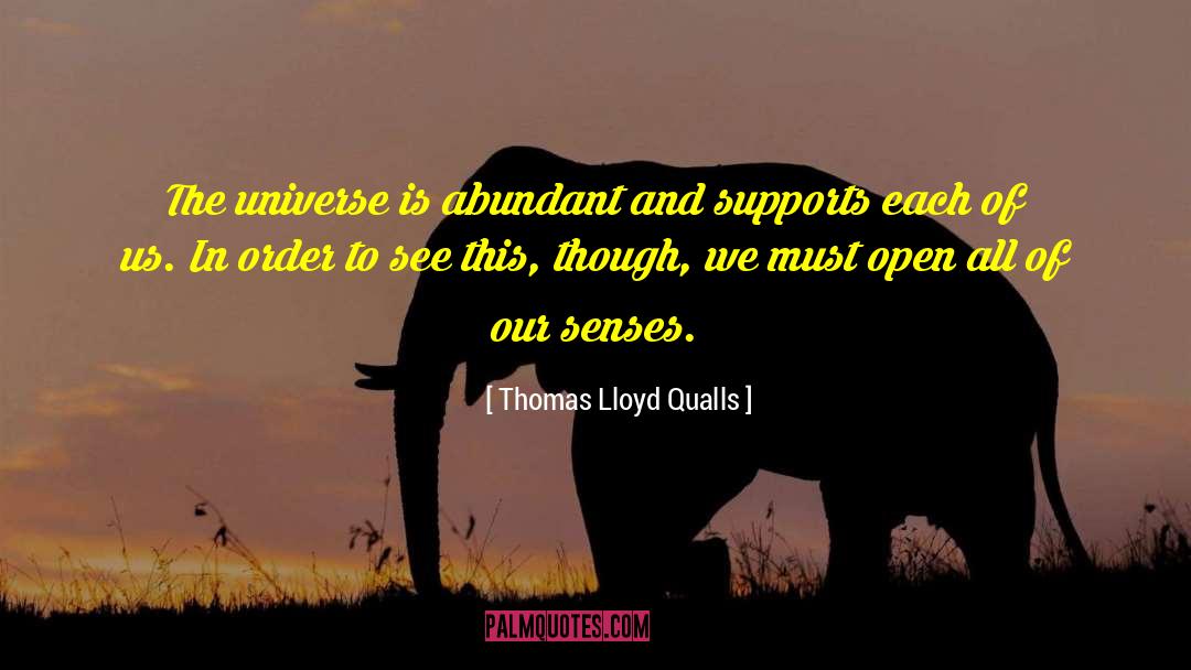 Thomas Lloyd Qualls Quotes: The universe is abundant and