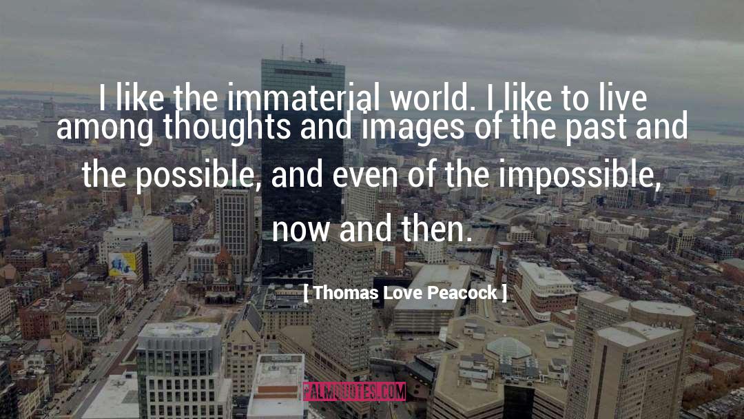 Thomas Love Peacock Quotes: I like the immaterial world.