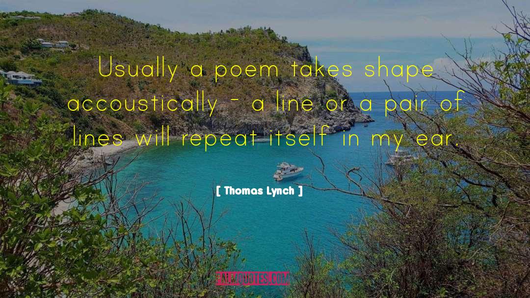 Thomas Lynch Quotes: Usually a poem takes shape