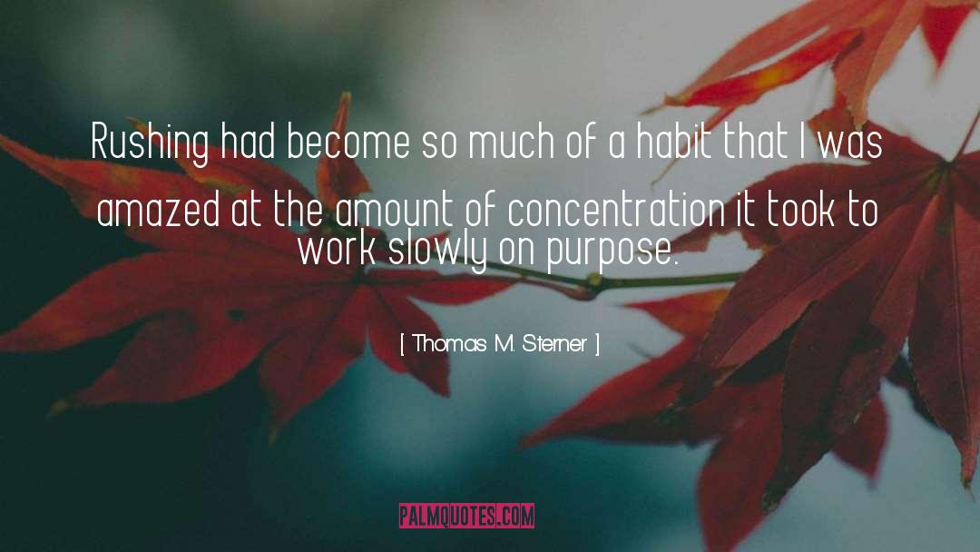 Thomas M. Sterner Quotes: Rushing had become so much