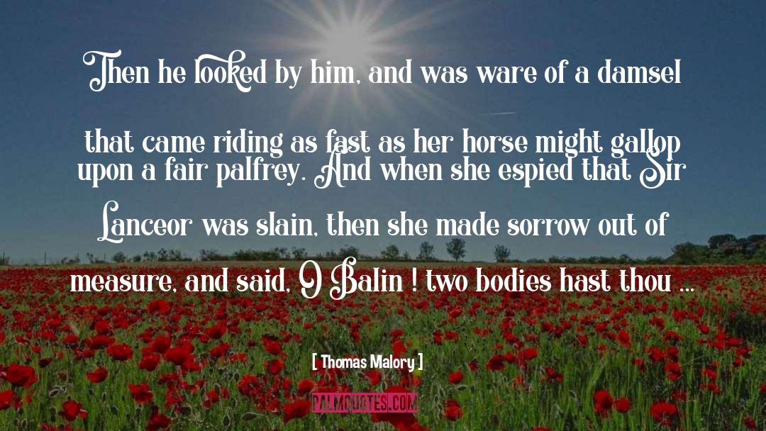 Thomas Malory Quotes: Then he looked by him,