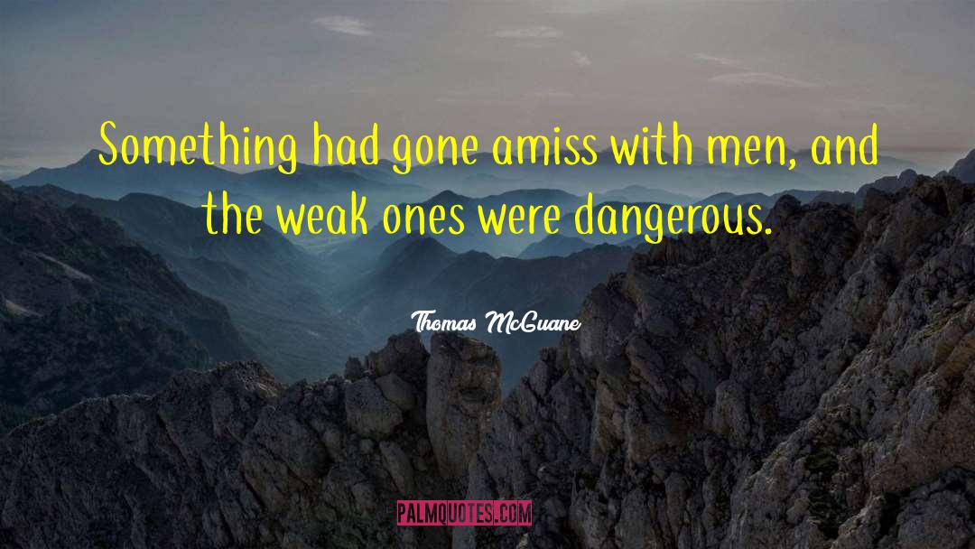 Thomas McGuane Quotes: Something had gone amiss with