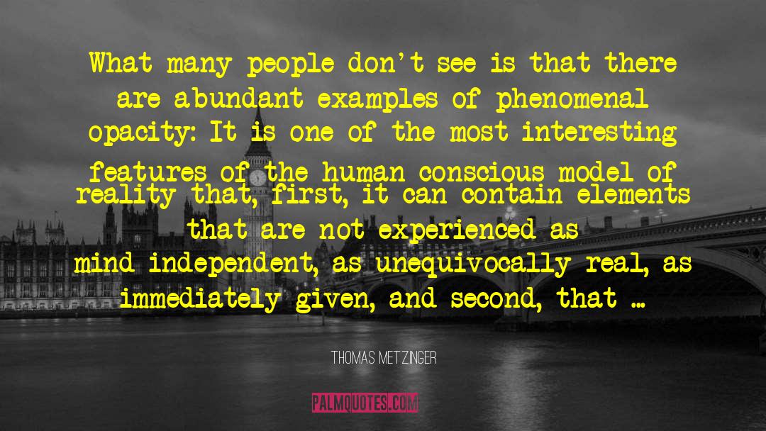 Thomas Metzinger Quotes: What many people don't see