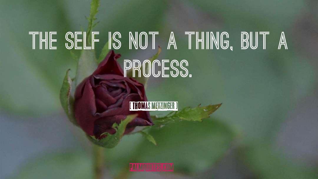 Thomas Metzinger Quotes: The self is not a