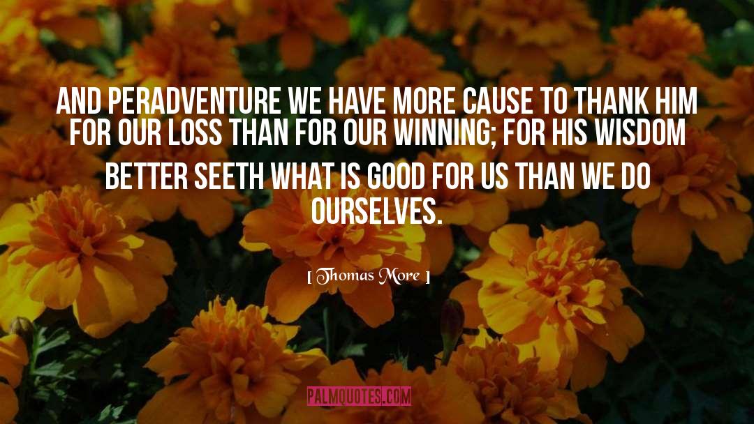 Thomas More Quotes: And peradventure we have more