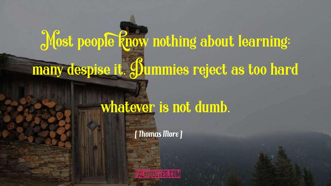 Thomas More Quotes: Most people know nothing about