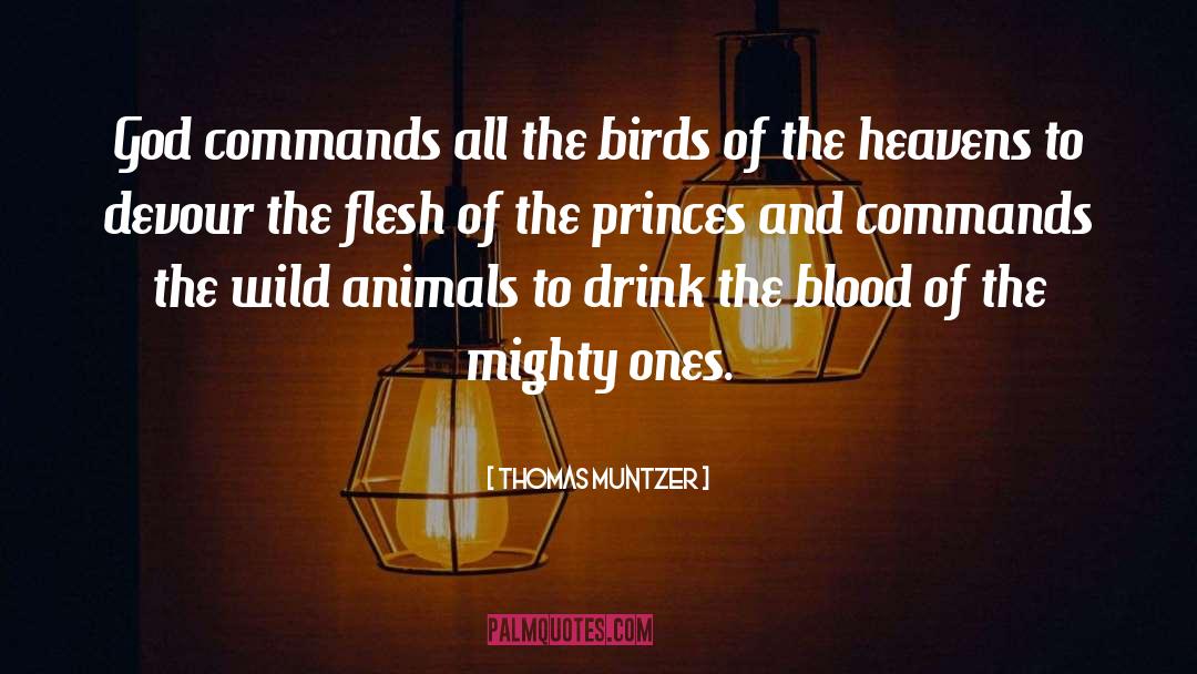 Thomas Muntzer Quotes: God commands all the birds