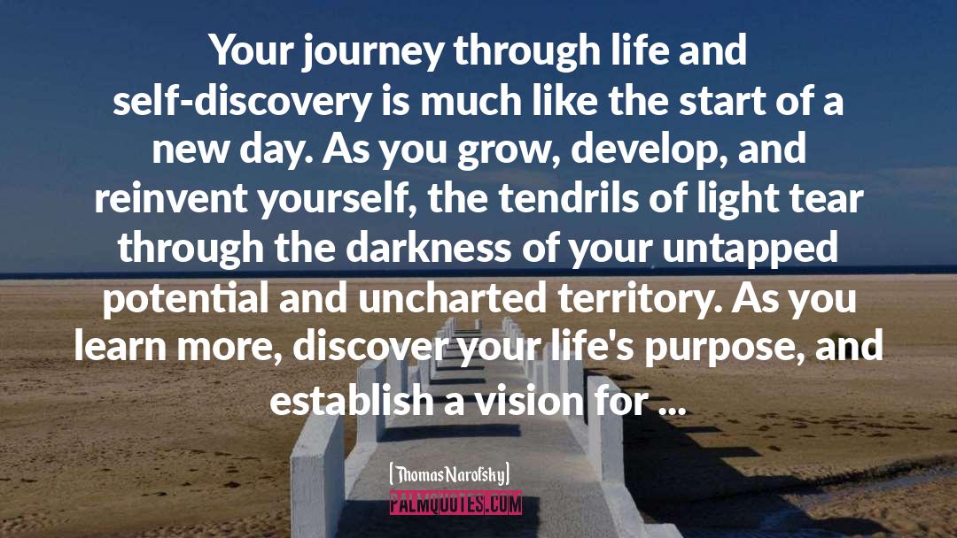 Thomas Narofsky Quotes: Your journey through life and