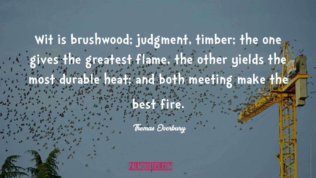 Thomas Overbury Quotes: Wit is brushwood; judgment, timber;
