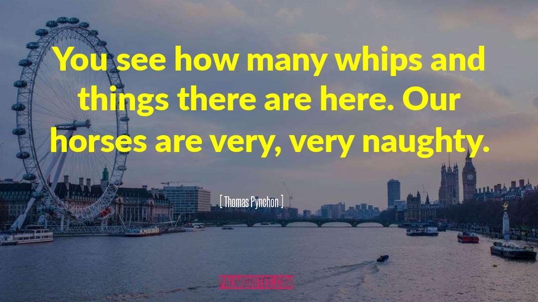 Thomas Pynchon Quotes: You see how many whips