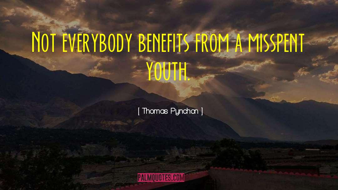 Thomas Pynchon Quotes: Not everybody benefits from a