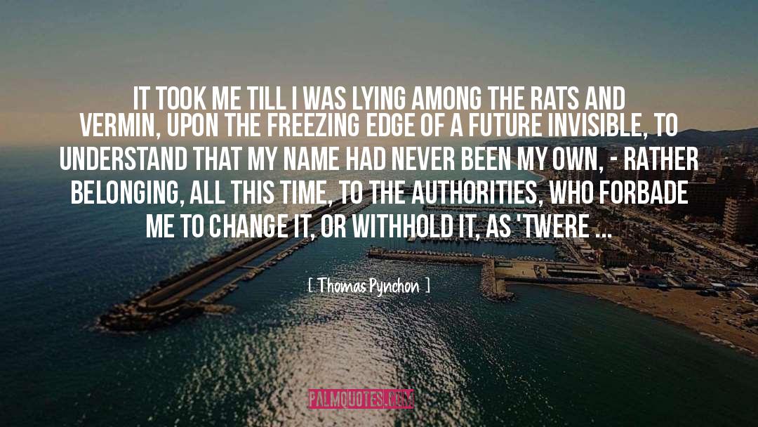 Thomas Pynchon Quotes: It took me till I