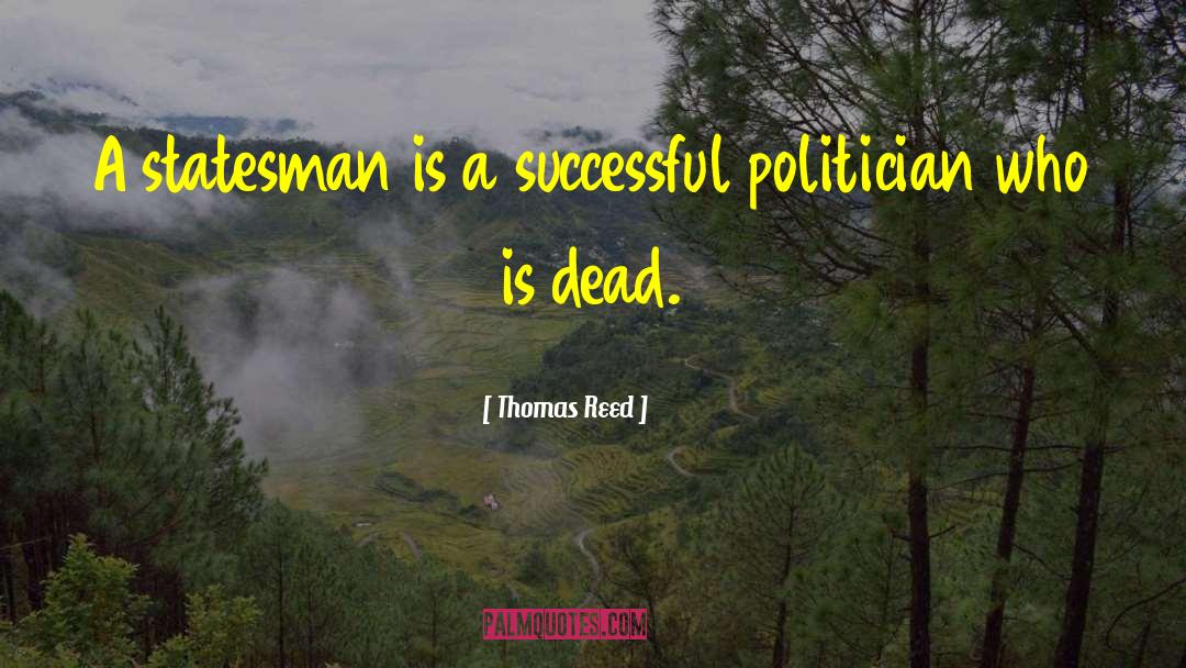 Thomas Reed Quotes: A statesman is a successful