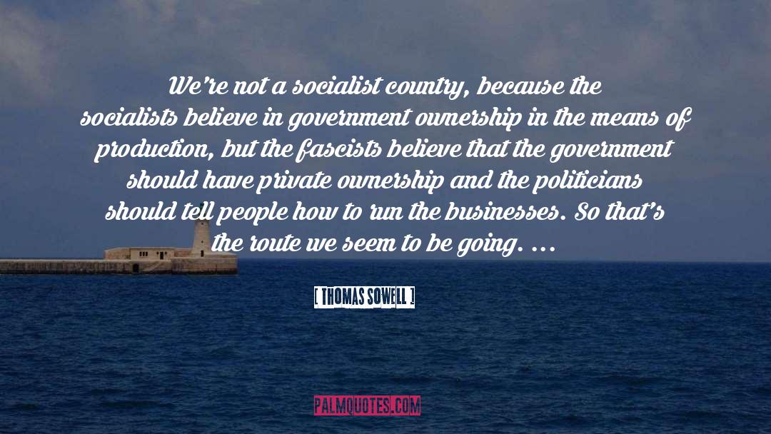 Thomas Sowell Quotes: We're not a socialist country,