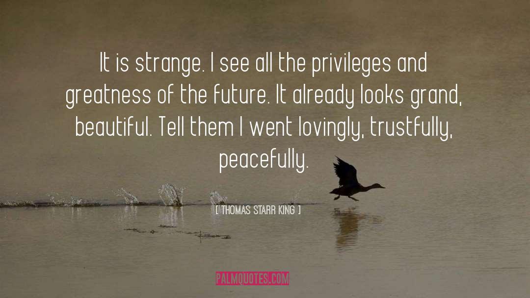 Thomas Starr King Quotes: It is strange. I see