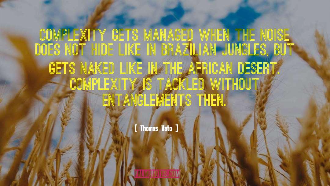 Thomas Vato Quotes: Complexity gets managed when the