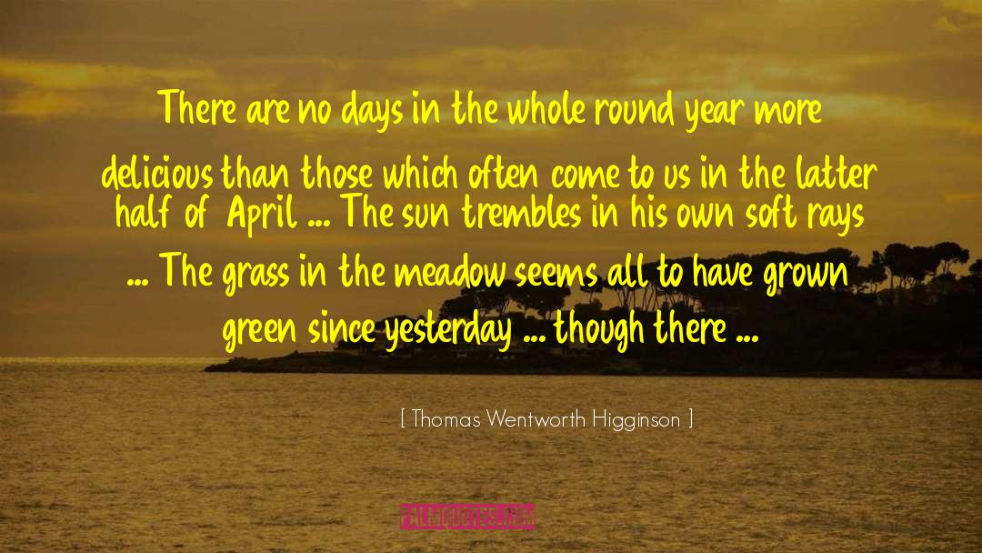 Thomas Wentworth Higginson Quotes: There are no days in