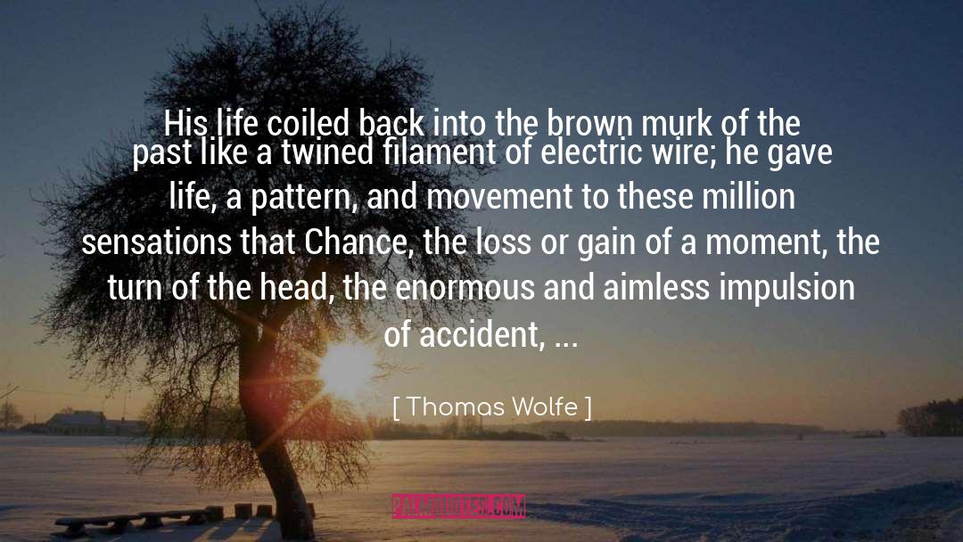 Thomas Wolfe Quotes: His life coiled back into