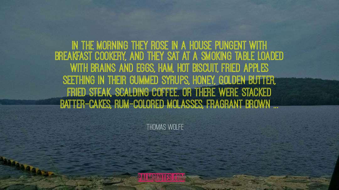 Thomas Wolfe Quotes: In the morning they rose