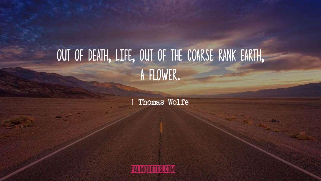 Thomas Wolfe Quotes: out of death, life, out