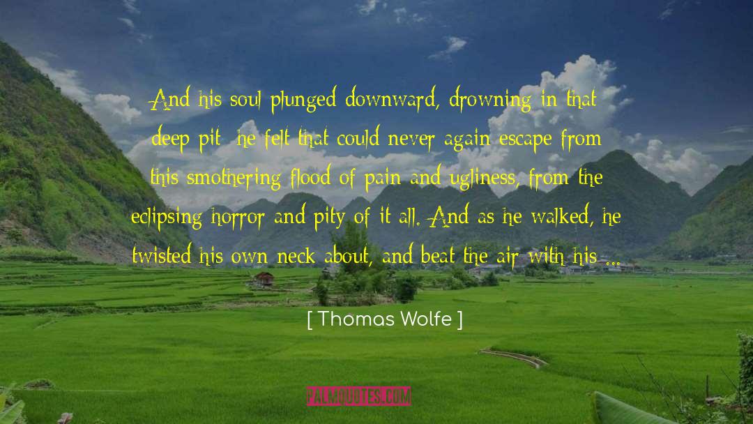 Thomas Wolfe Quotes: And his soul plunged downward,