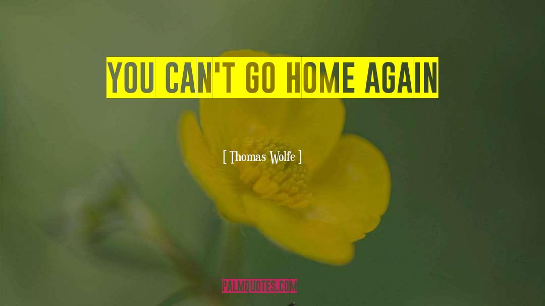 Thomas Wolfe Quotes: You can't go home again