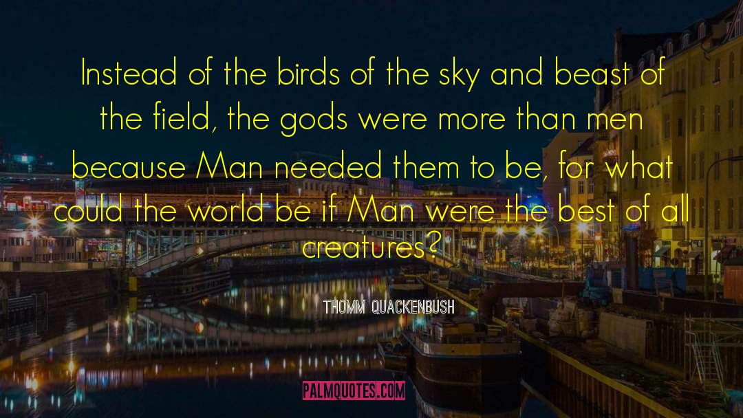 Thomm Quackenbush Quotes: Instead of the birds of