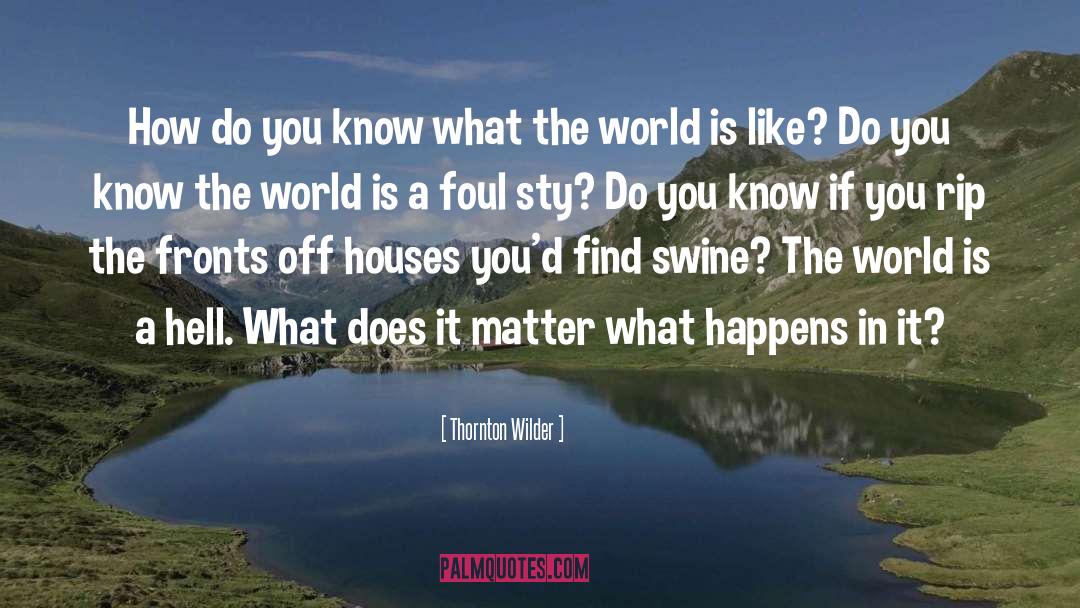 Thornton Wilder Quotes: How do you know what