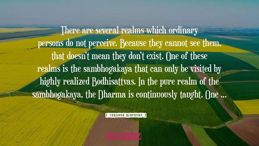 Thrangu Rinpoche Quotes: There are several realms which