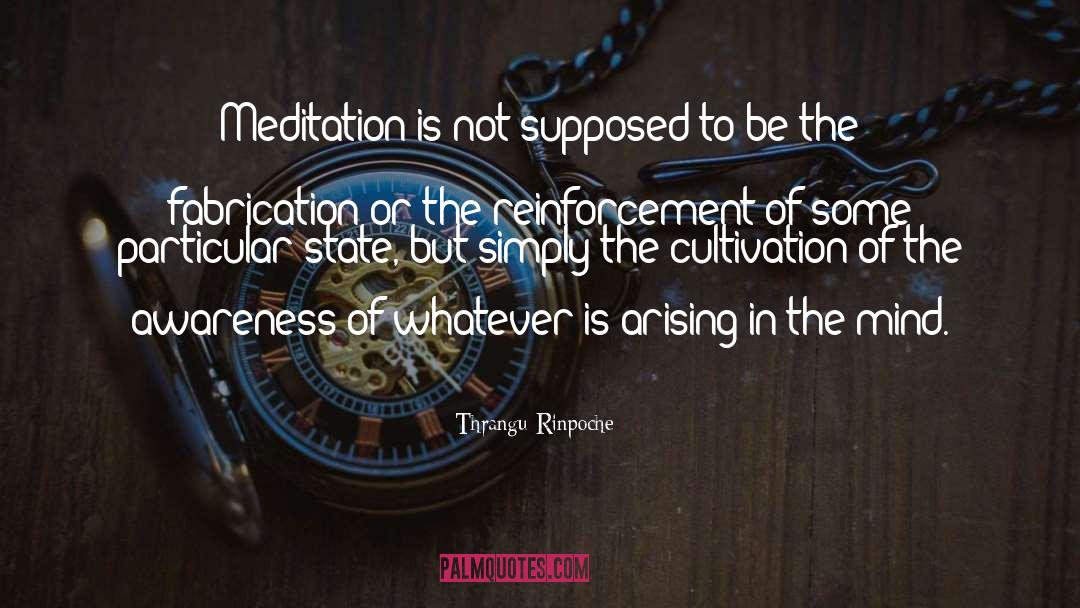 Thrangu Rinpoche Quotes: Meditation is not supposed to