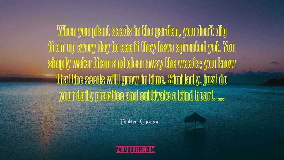 Thubten Chodron Quotes: When you plant seeds in