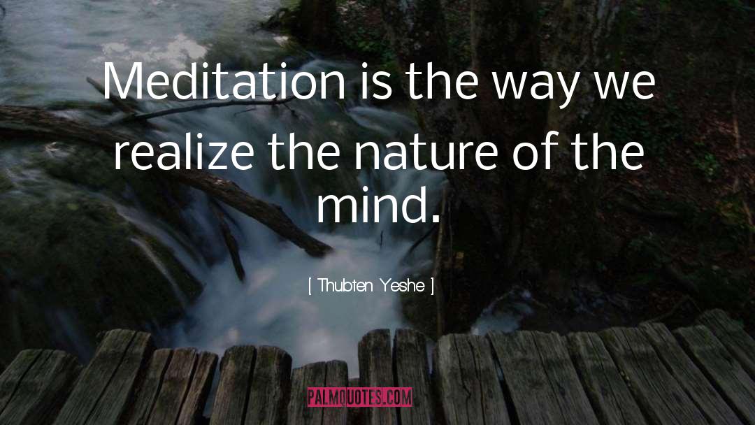 Thubten Yeshe Quotes: Meditation is the way we