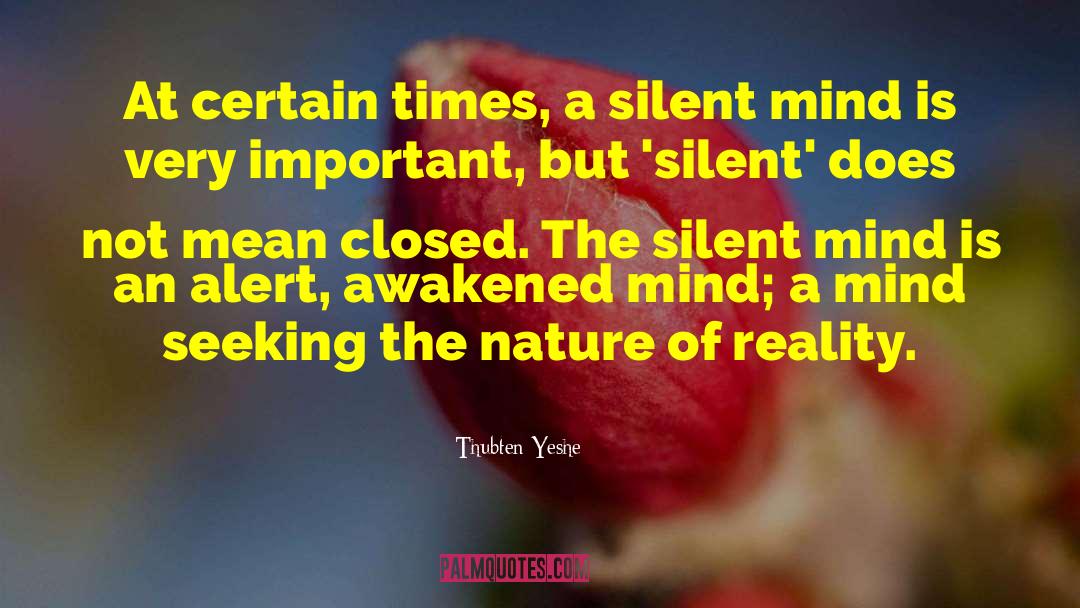 Thubten Yeshe Quotes: At certain times, a silent