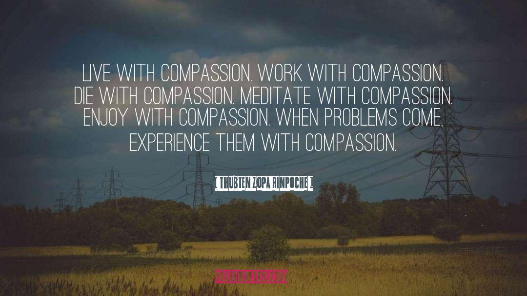 Thubten Zopa Rinpoche Quotes: Live with compassion. Work with