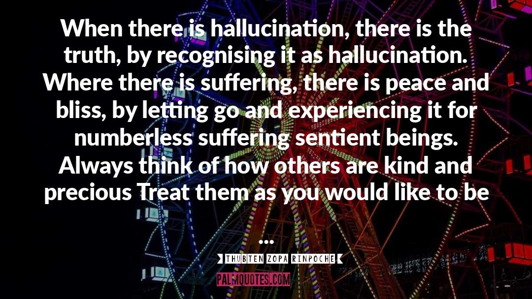 Thubten Zopa Rinpoche Quotes: When there is hallucination, there