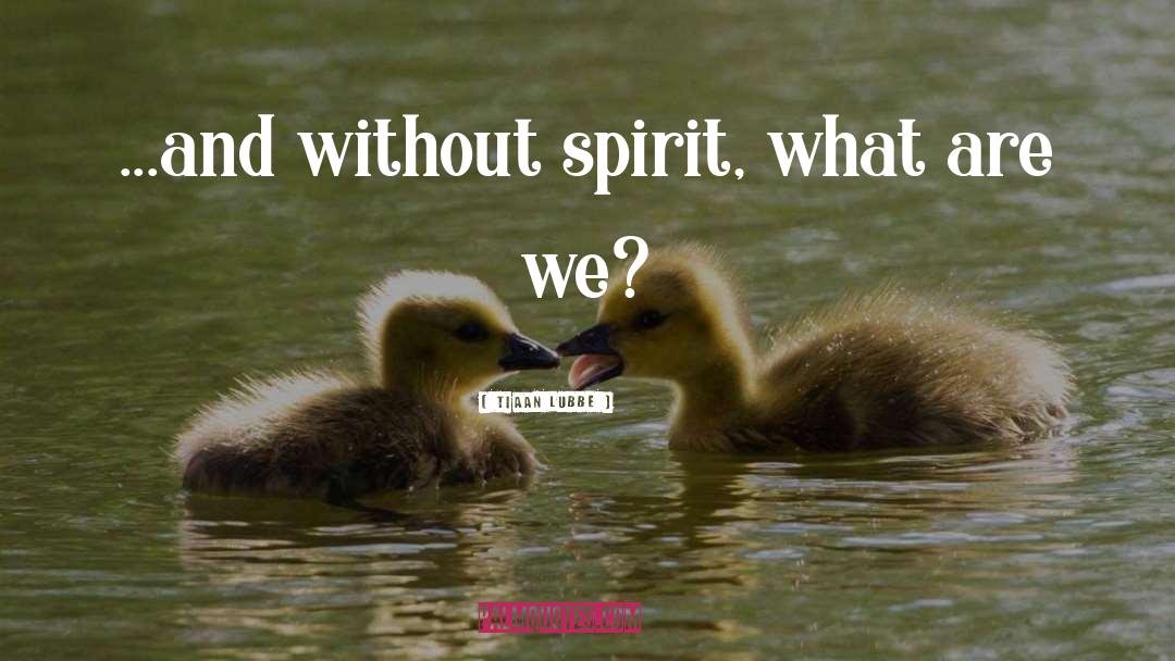 Tiaan Lubbe Quotes: ...and without spirit, what are