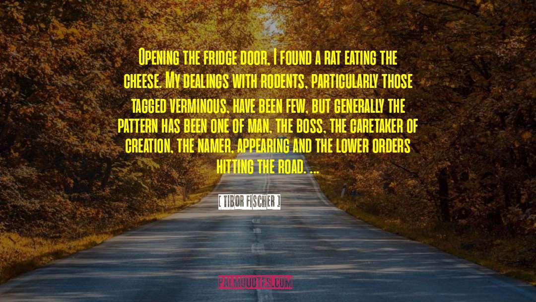 Tibor Fischer Quotes: Opening the fridge door, I