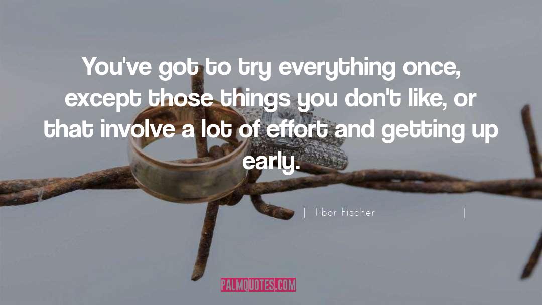 Tibor Fischer Quotes: You've got to try everything
