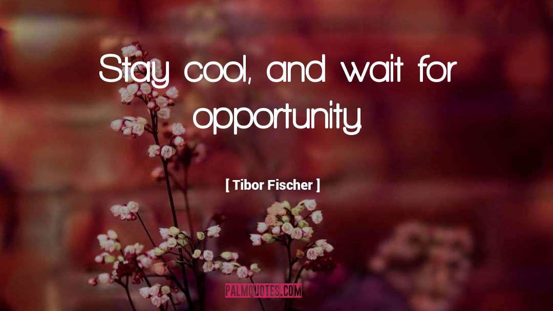 Tibor Fischer Quotes: Stay cool, and wait for