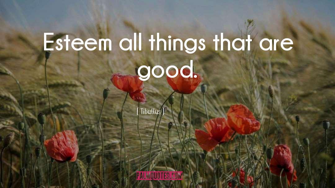 Tibullus Quotes: Esteem all things that are