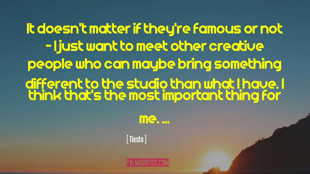 Tiesto Quotes: It doesn't matter if they're