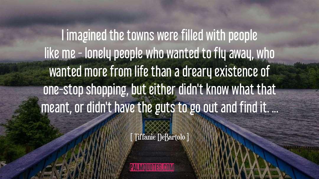 Tiffanie DeBartolo Quotes: I imagined the towns were