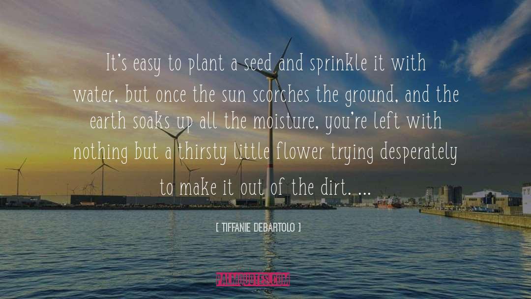 Tiffanie DeBartolo Quotes: It's easy to plant a