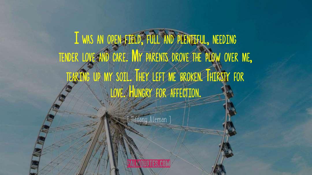 Tiffany Aleman Quotes: I was an open field,