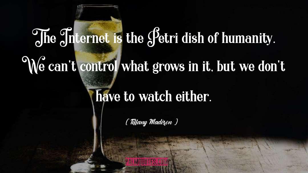 Tiffany Madison Quotes: The Internet is the Petri