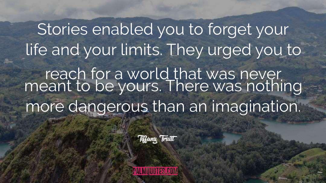 Tiffany Truitt Quotes: Stories enabled you to forget
