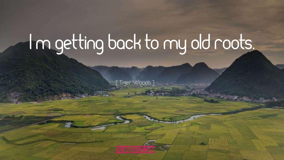 Tiger Woods Quotes: I'm getting back to my