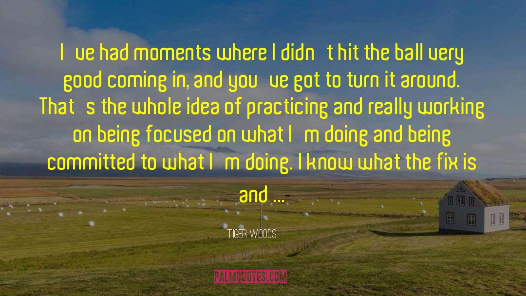 Tiger Woods Quotes: I've had moments where I