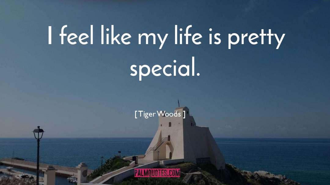 Tiger Woods Quotes: I feel like my life